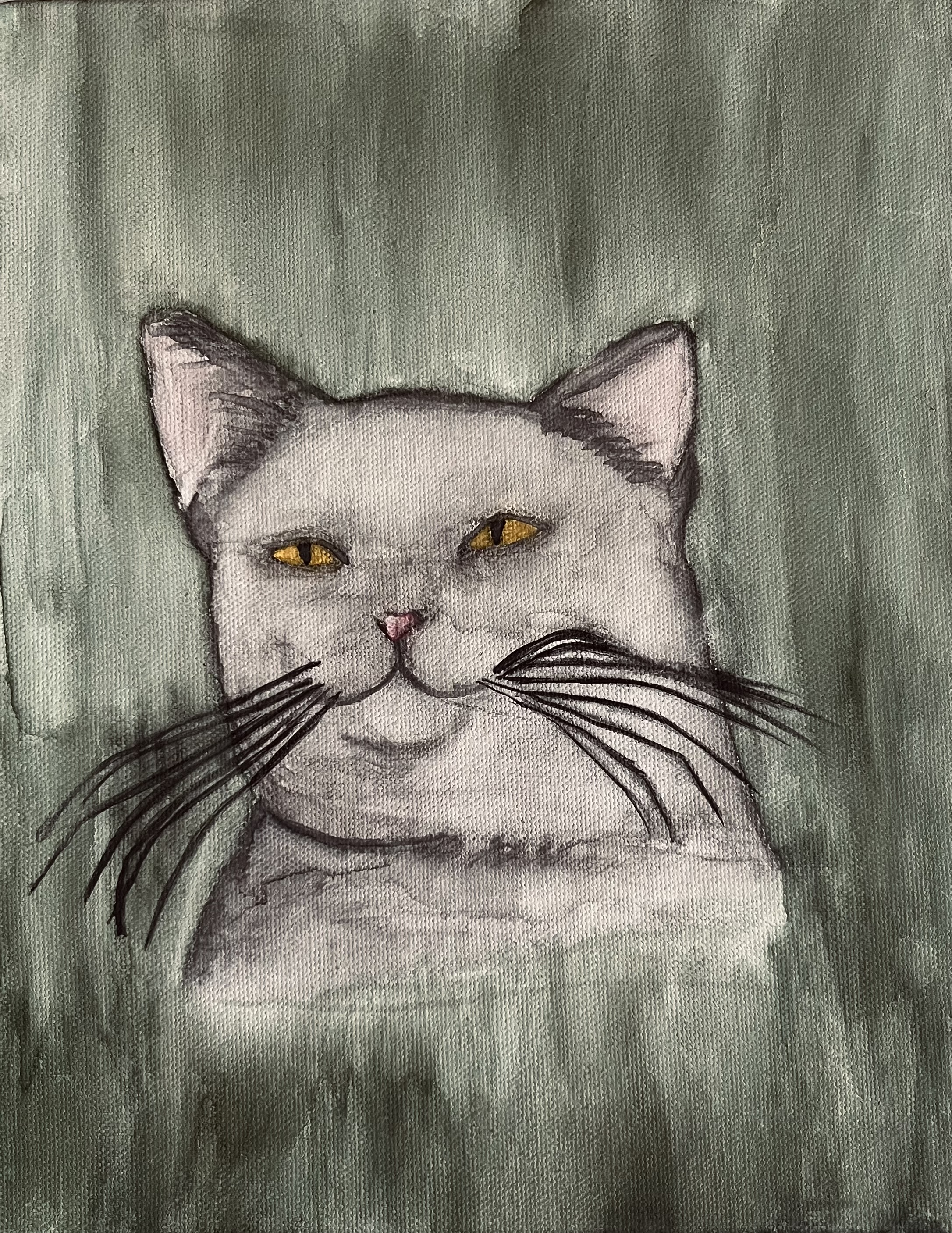 cat portrait